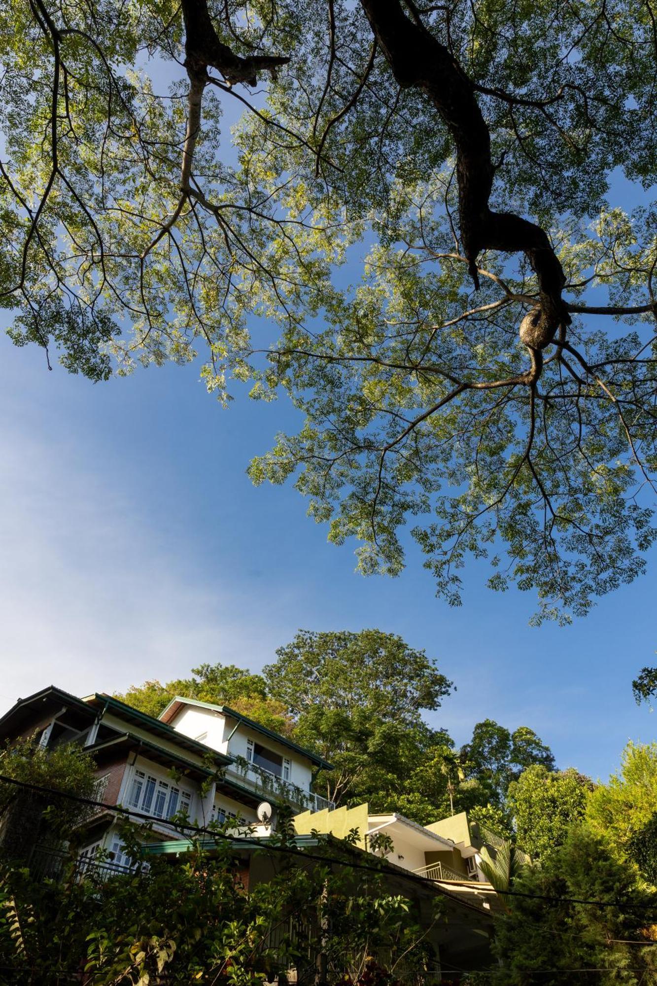 Greenwood Edge Kandy Esterno foto