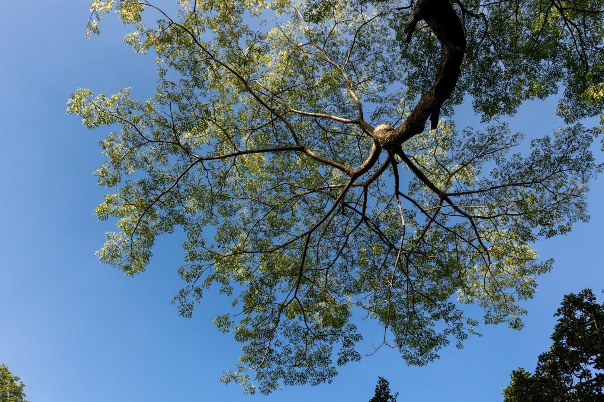 Greenwood Edge Kandy Esterno foto